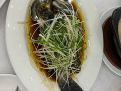 -沙田新强记烧鹅海鲜酒家