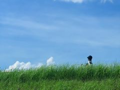 -良渚古城遗址公园