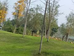 -艾溪湖湿地公园