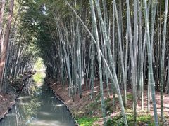 -同里国家湿地公园