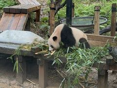 -广州长隆野生动物世界