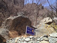 -北京鹫峰国家森林公园