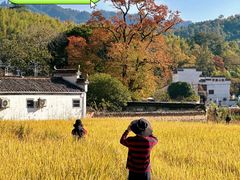 -塔川景区