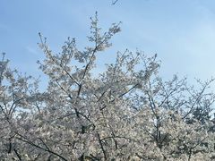 -中国茶叶博物馆(双峰馆区)