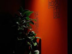 -LAMP BAR 水烟音乐酒吧