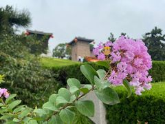 -汉陵苑