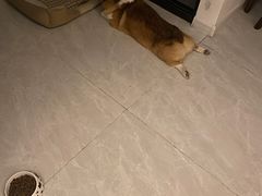 -沈阳市和平区成人疫苗预防接种门诊部