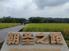 -良渚古城遗址公园
