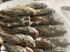 -蚝乡农庄(铁涌赤岸店)