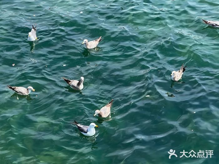 栈桥景区图片