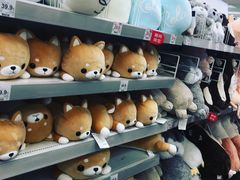 -NITORI 宜得利家居(杭州良渚永旺店)
