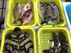 -老字号蛇口德记烧腊饭店·海鲜加工