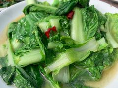 -金水泊山庄·花椒鸡(铁山坪店)