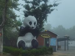 -西霞口神雕山野生动物世界