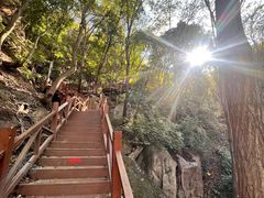 -大岭沟猕猴桃谷风景区
