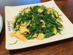 -靖远尕六美味羊羔肉