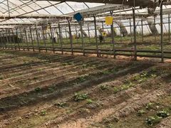 -万源龙顺度假庄园生态观光园