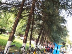 -四川大学(望江校区)