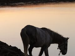 -黄河九曲第一湾