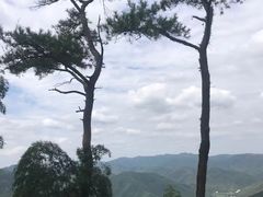 -莫干山风景区