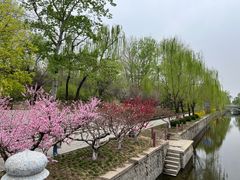 -元大都城垣遗址公园