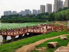 -丁香湖公园