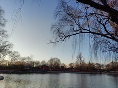 -百脉泉景区