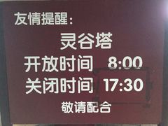 -灵谷景区