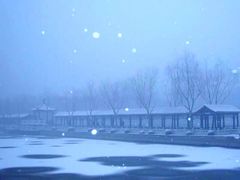 upload_pic-西海子公园