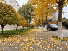 -东北大学(南湖校区)