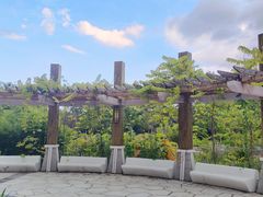 -海南热带海洋学院(三亚校区)