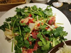-猫爪爪原切自助烤肉(观音桥阳光世纪店)