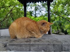 -西园戒幢律寺