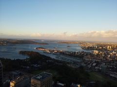 景观位-悉尼塔旋转餐厅