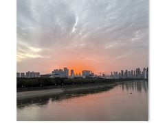 -月湖风景区