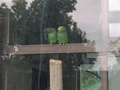 -上方山森林动物世界
