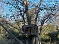 -香山公园