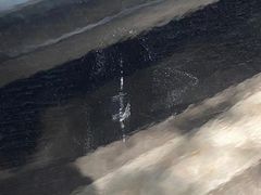 -上海圣淘沙万怡酒店