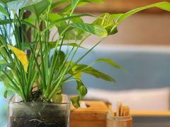 -丹楓雨露(乐基广场店)