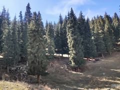 -天山天池风景区-西王母祖庙