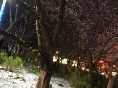 -虹口龙之梦购物中心·停车场