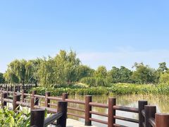 -长兴太湖图影湿地文化园