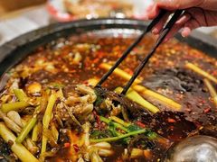 -费明中罗非鱼(大石坝店)