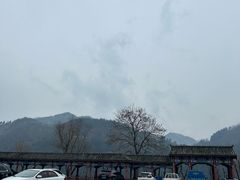 -后柳水乡
