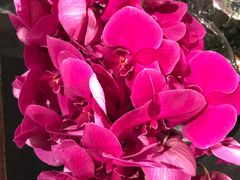 -广州花园酒店-凌璇阁360度高空海鲜自助餐CAROUSEL