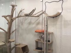 -凯特喵百思猫专科医院