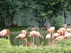 -石家庄市动物园