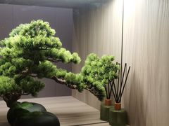 -道合堂·中式按摩·spa(民治店)