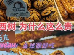 -西树泡芙(秦皇岛茂业天地店)