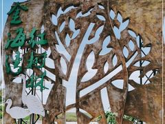 -北海金海湾红树林生态旅游区